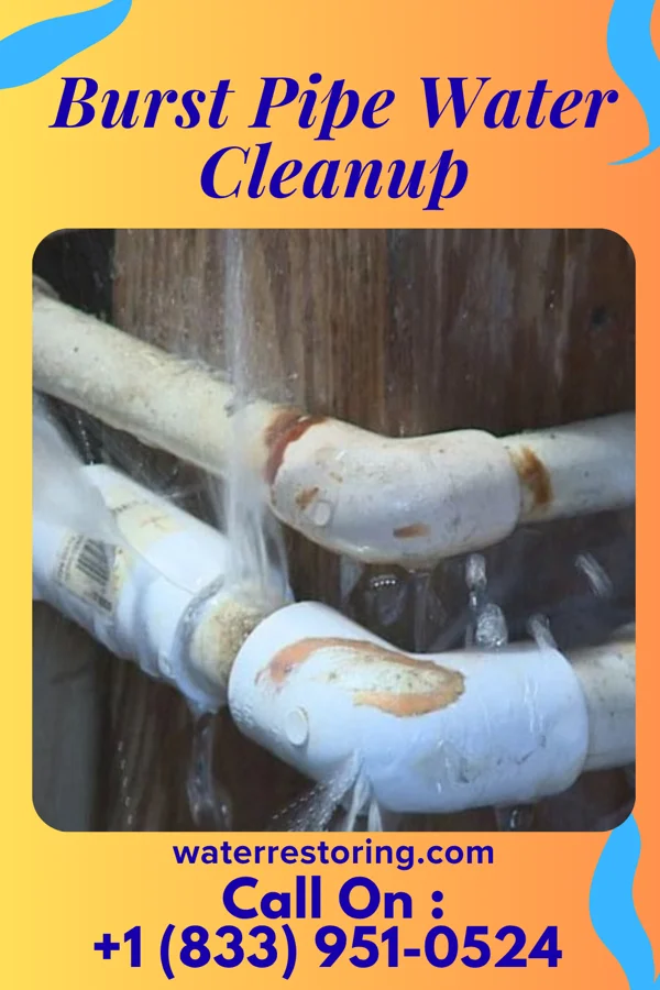 Burst Pipe Water Cleanup in Rives, MO