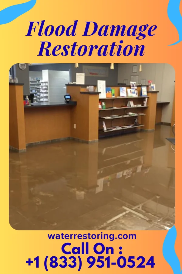 Flood Damage Restoration in Rives, MO