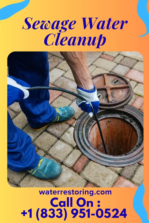 Sewage Water Cleanup in Rives, MO